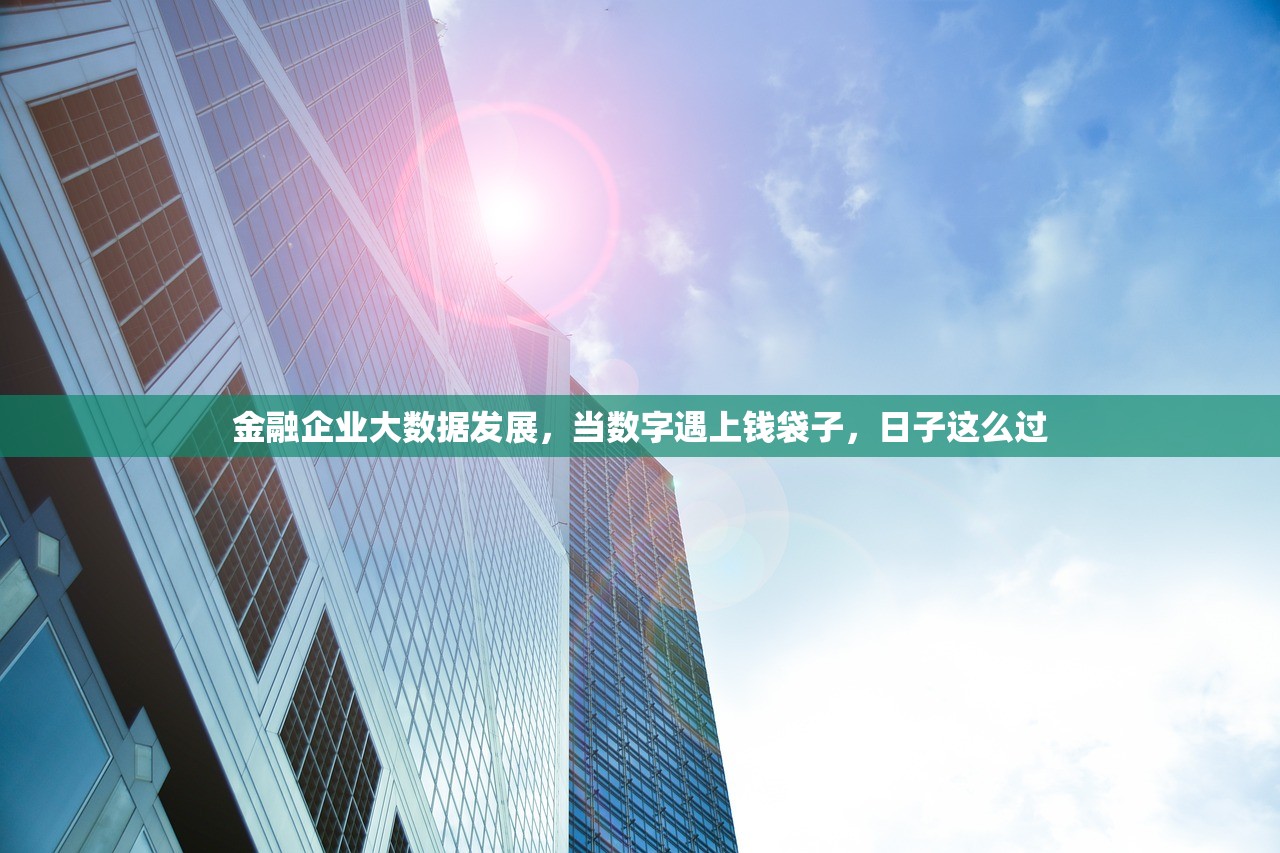 金融企业大数据发展，当数字遇上钱袋子，日子这么过